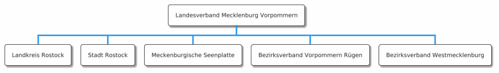 Organigramm-MV der Partei dieBasis